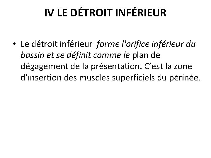 IV LE DÉTROIT INFÉRIEUR • Le détroit inférieur forme l'orifice inférieur du bassin et