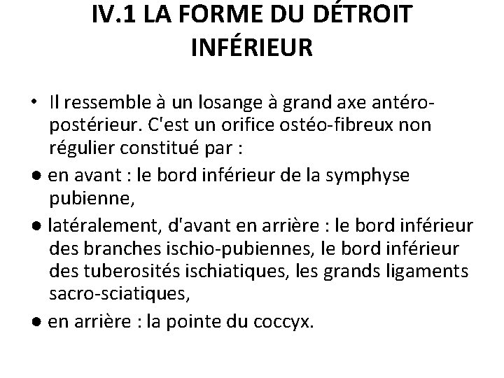 IV. 1 LA FORME DU DÉTROIT INFÉRIEUR • Il ressemble à un losange à