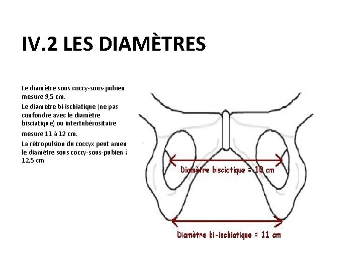 IV. 2 LES DIAMÈTRES Le diamètre sous coccy-sous-pubien mesure 9, 5 cm. Le diamètre