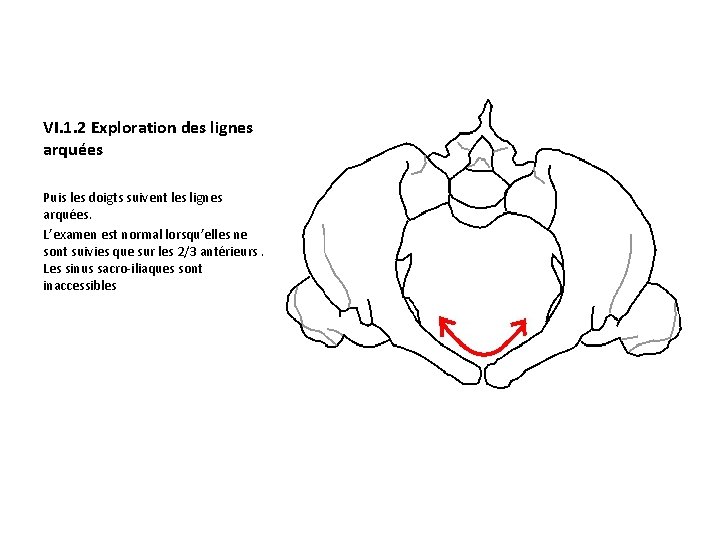 VI. 1. 2 Exploration des lignes arquées Puis les doigts suivent les lignes arquées.