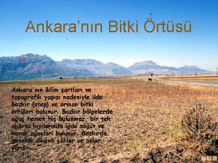 Ankara’nın Bitki Örtüsü . Ankara'nın iklim şartları ve topografik yapısı nedeniyle ilde bozkır (step)