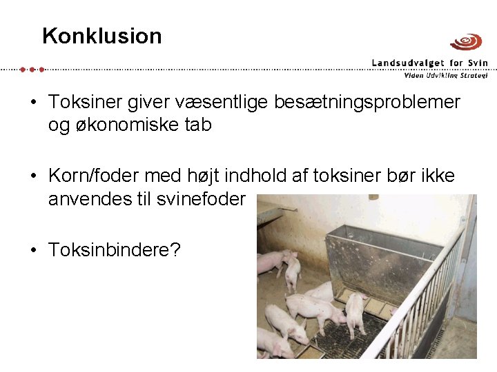 Konklusion • Toksiner giver væsentlige besætningsproblemer og økonomiske tab • Korn/foder med højt indhold