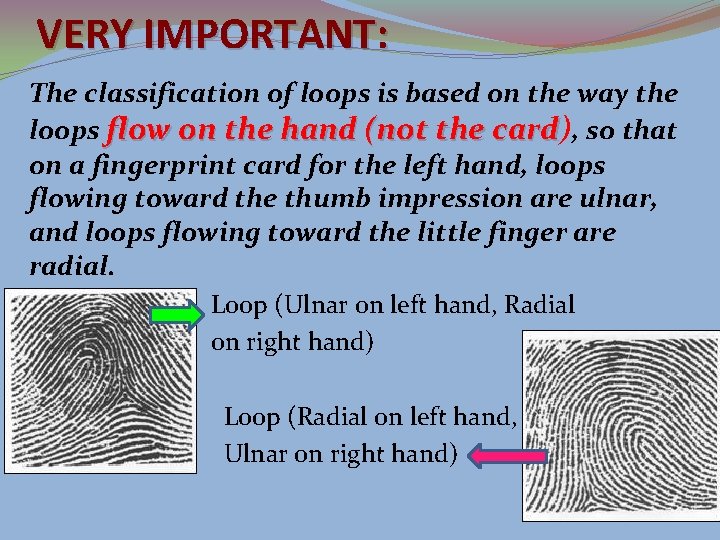 VERY IMPORTANT: The classification of loops is based on the way the loops flow