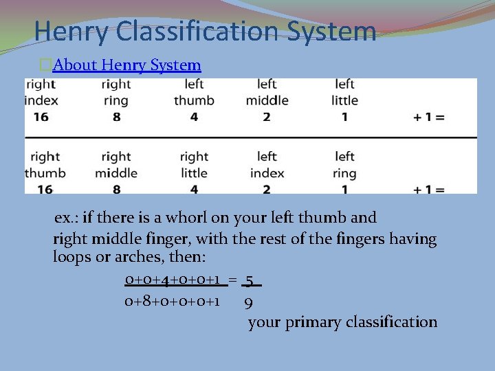 Henry Classification System �About Henry System ex. : if there is a whorl on