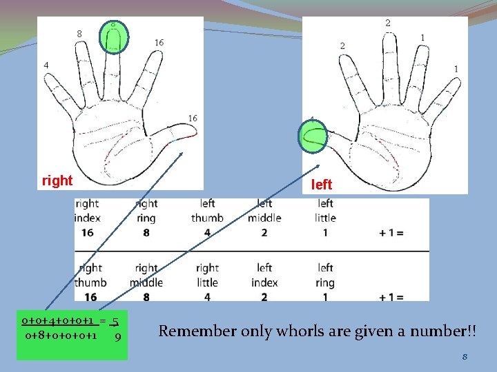 right 0+0+4+0+0+1 = 5 0+8+0+0+0+1 9 left Remember only whorls are given a number!!