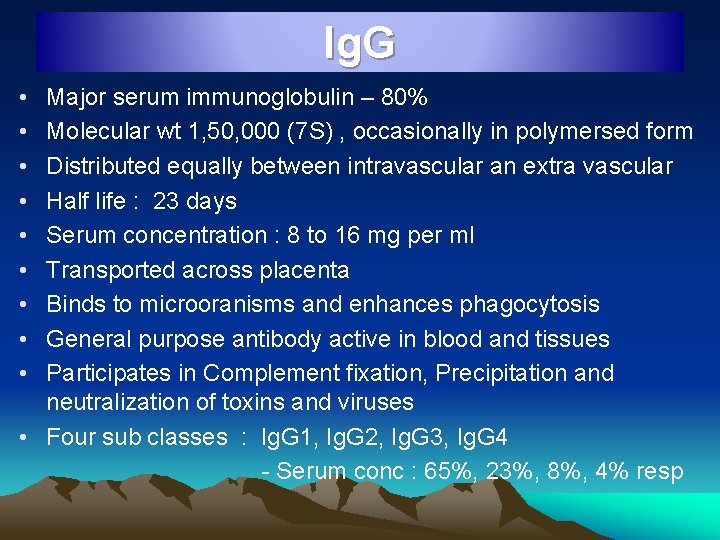 Ig. G • • • Major serum immunoglobulin – 80% Molecular wt 1, 50,