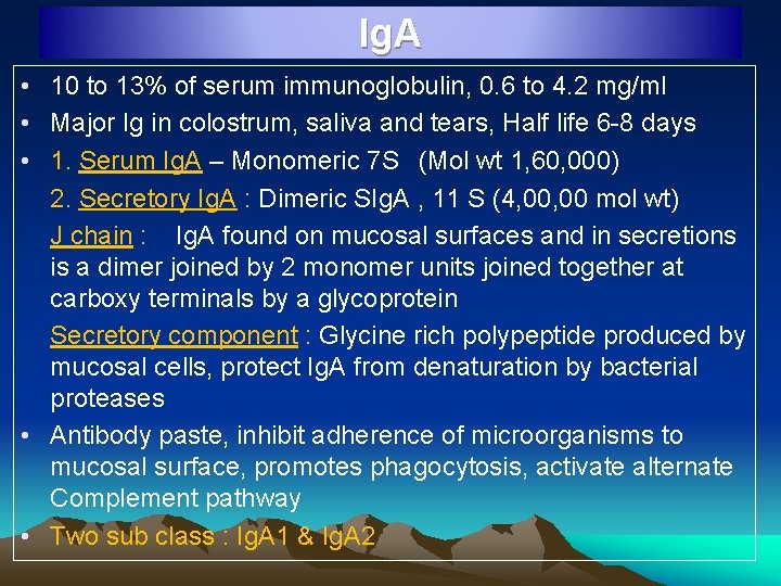Ig. A • 10 to 13% of serum immunoglobulin, 0. 6 to 4. 2