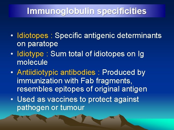 Immunoglobulin specificities • Idiotopes : Specific antigenic determinants on paratope • Idiotype : Sum