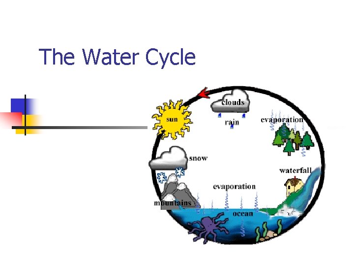 The Water Cycle 