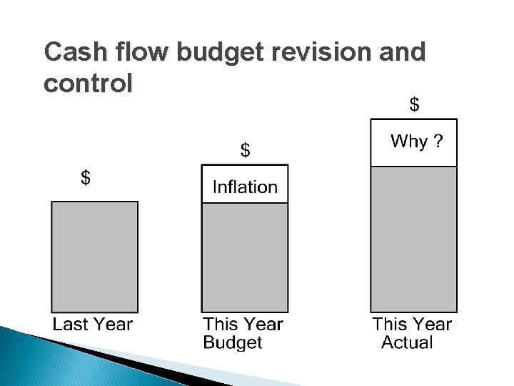 Cash flow budget revision and control 