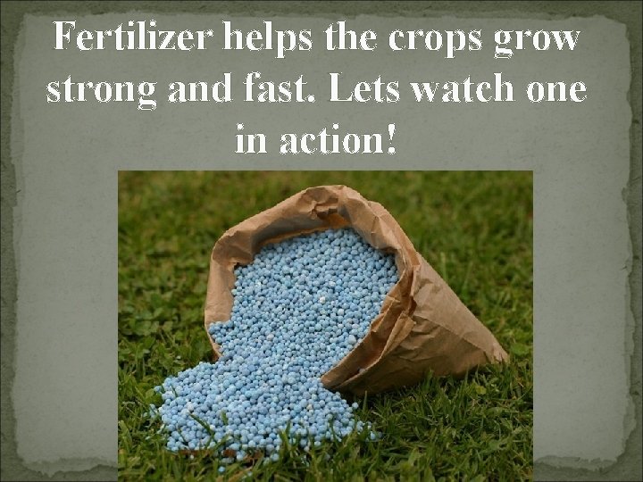 Fertilizer helps the crops grow strong and fast. Lets watch one in action! 