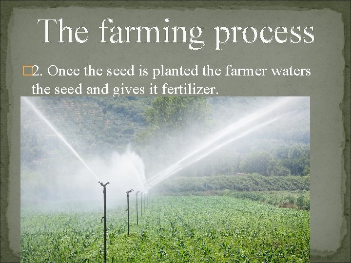 The farming process � 2. Once the seed is planted the farmer waters the