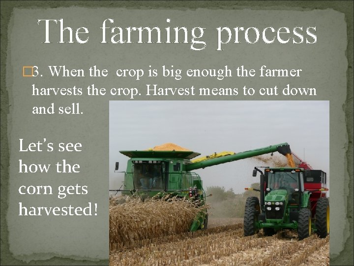 The farming process � 3. When the crop is big enough the farmer harvests