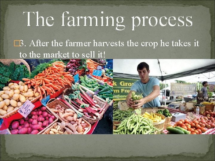 The farming process � 3. After the farmer harvests the crop he takes it
