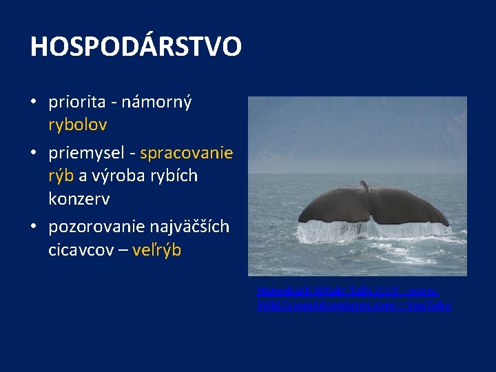 HOSPODÁRSTVO • priorita - námorný rybolov • priemysel - spracovanie rýb a výroba rybích