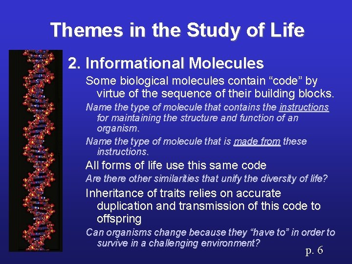 Themes in the Study of Life 2. Informational Molecules Some biological molecules contain “code”