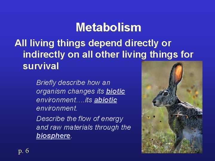 Metabolism All living things depend directly or indirectly on all other living things for