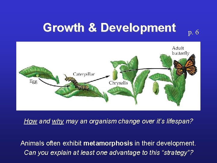 Growth & Development p. 6 How and why may an organism change over it’s