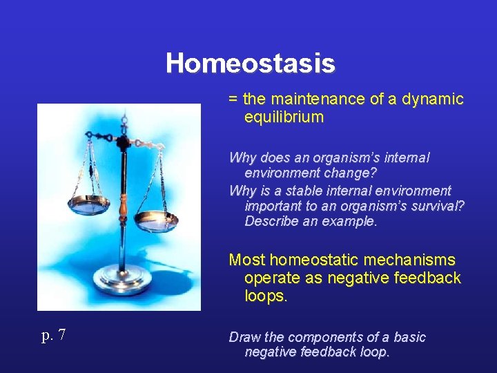 Homeostasis = the maintenance of a dynamic equilibrium Why does an organism’s internal environment