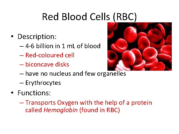 Red Blood Cells (RBC) • Description: – 4 -6 billion in 1 m. L