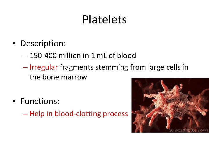 Platelets • Description: – 150 -400 million in 1 m. L of blood –