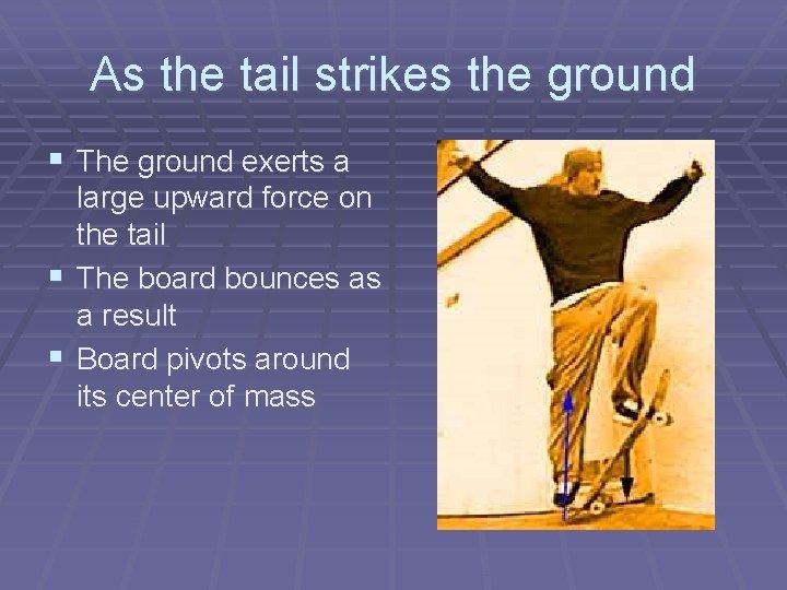 As the tail strikes the ground § The ground exerts a large upward force