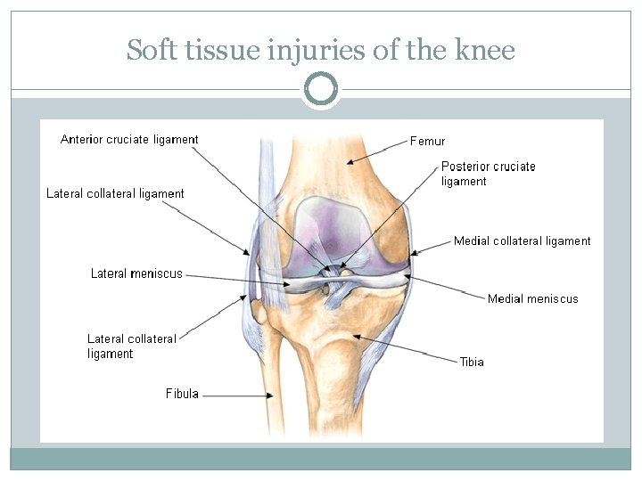 Soft tissue injuries of the knee 