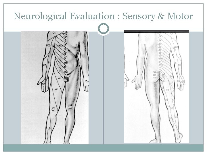 Neurological Evaluation : Sensory & Motor 