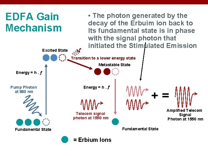 EDFA Gain Mechanism Excited State • The photon generated by the decay of the