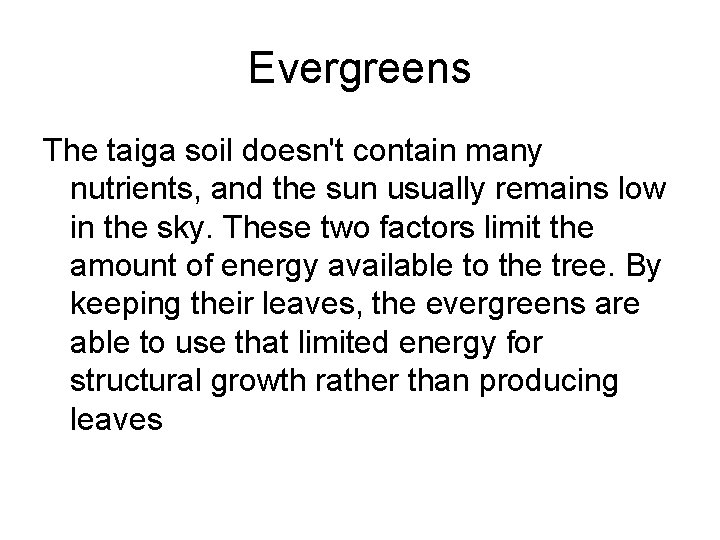 Evergreens The taiga soil doesn't contain many nutrients, and the sun usually remains low