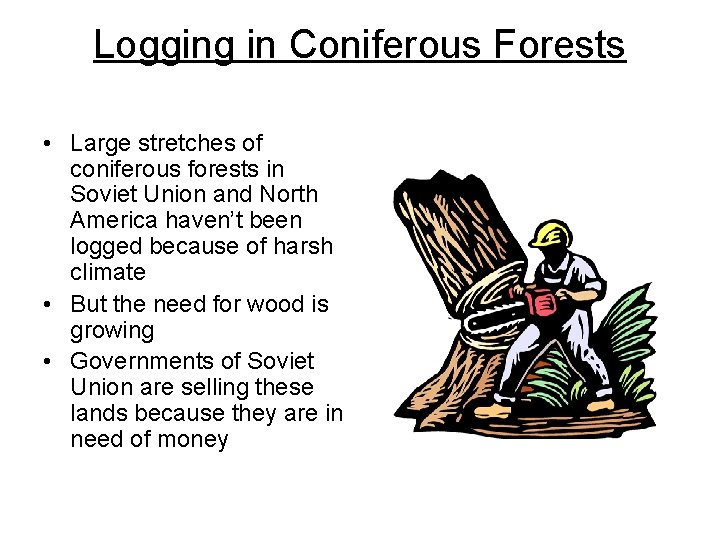 Logging in Coniferous Forests • Large stretches of coniferous forests in Soviet Union and