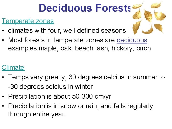 Deciduous Forests Temperate zones • climates with four, well-defined seasons • Most forests in