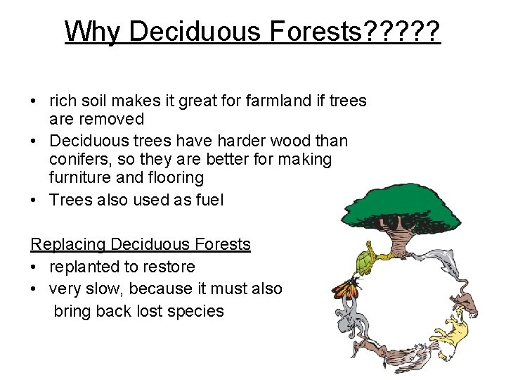 Why Deciduous Forests? ? ? • rich soil makes it great for farmland if