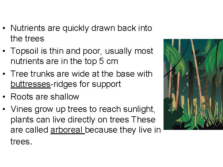  • Nutrients are quickly drawn back into the trees • Topsoil is thin