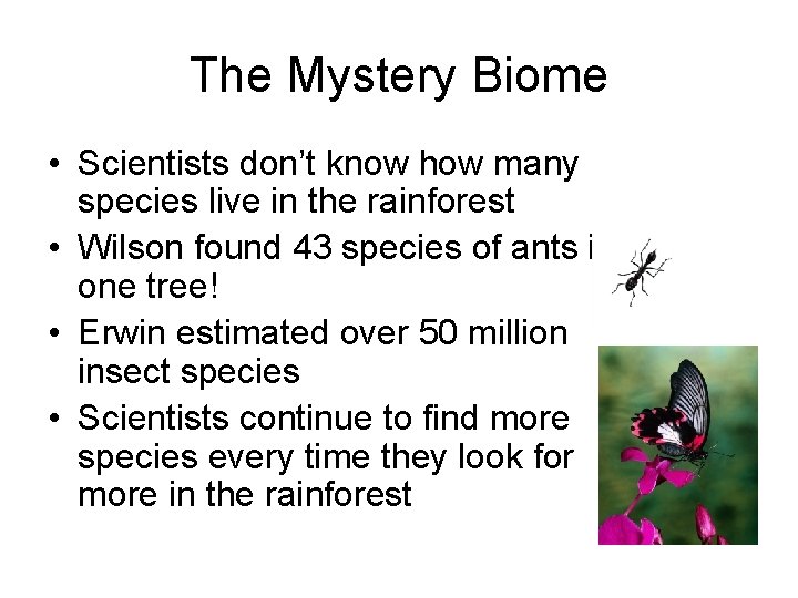 The Mystery Biome • Scientists don’t know how many species live in the rainforest