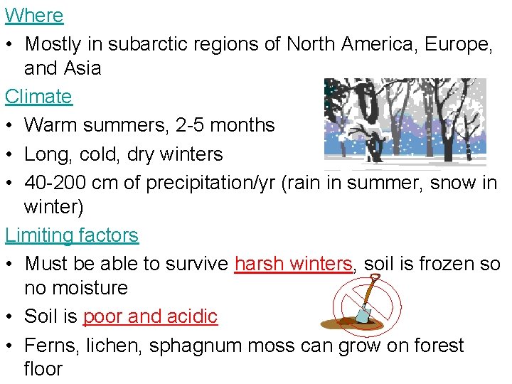 Where • Mostly in subarctic regions of North America, Europe, and Asia Climate •