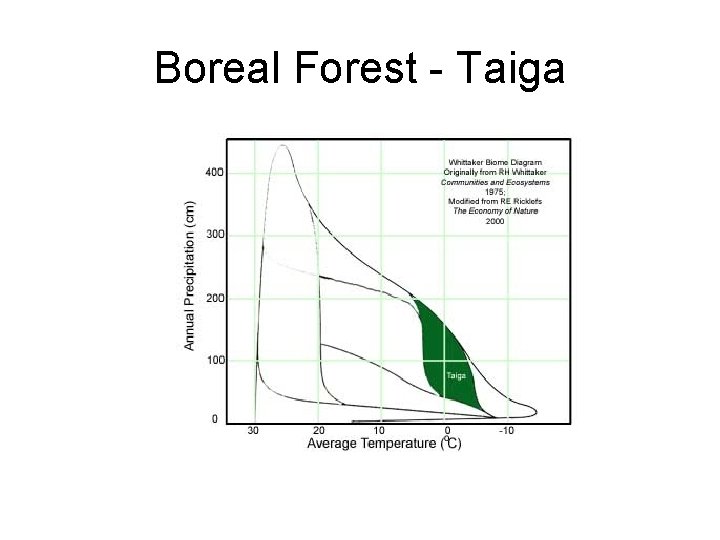 Boreal Forest - Taiga 