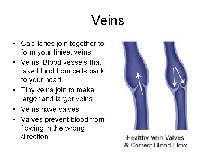 Veins • Capillaries join together to form your tiniest veins • Veins: Blood vessels
