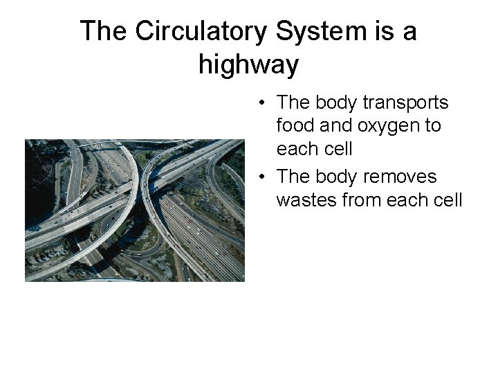 The Circulatory System is a highway • The body transports food and oxygen to
