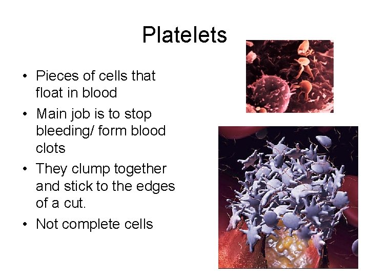 Platelets • Pieces of cells that float in blood • Main job is to