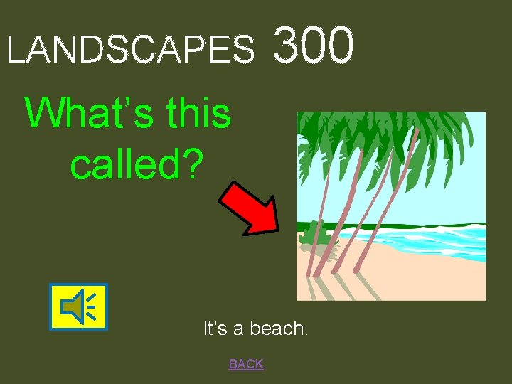 LANDSCAPES 300 What’s this called? It’s a beach. BACK 