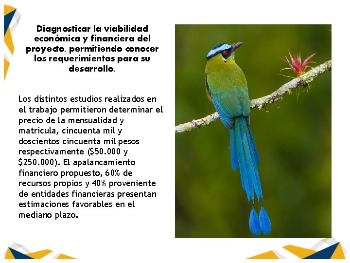 Diagnosticar la viabilidad económica y financiera del proyecto, permitiendo conocer los requerimientos para su