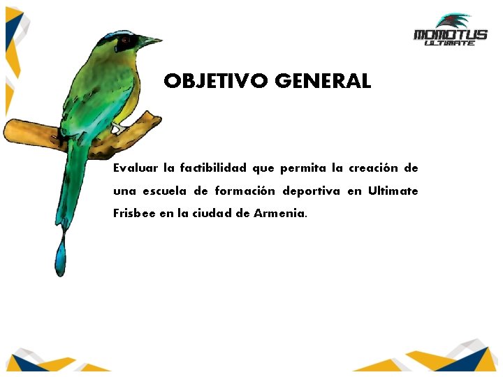 OBJETIVO GENERAL Evaluar la factibilidad que permita la creación de una escuela de formación