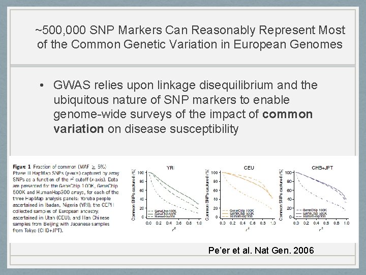 ~500, 000 SNP Markers Can Reasonably Represent Most of the Common Genetic Variation in