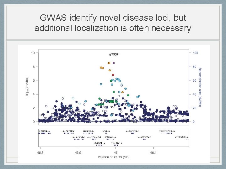 GWAS identify novel disease loci, but additional localization is often necessary 
