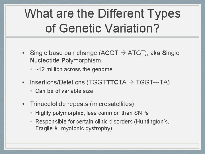 What are the Different Types of Genetic Variation? • Single base pair change (ACGT