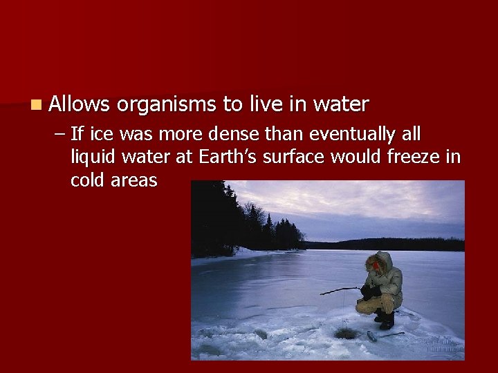 n Allows organisms to live in water – If ice was more dense than