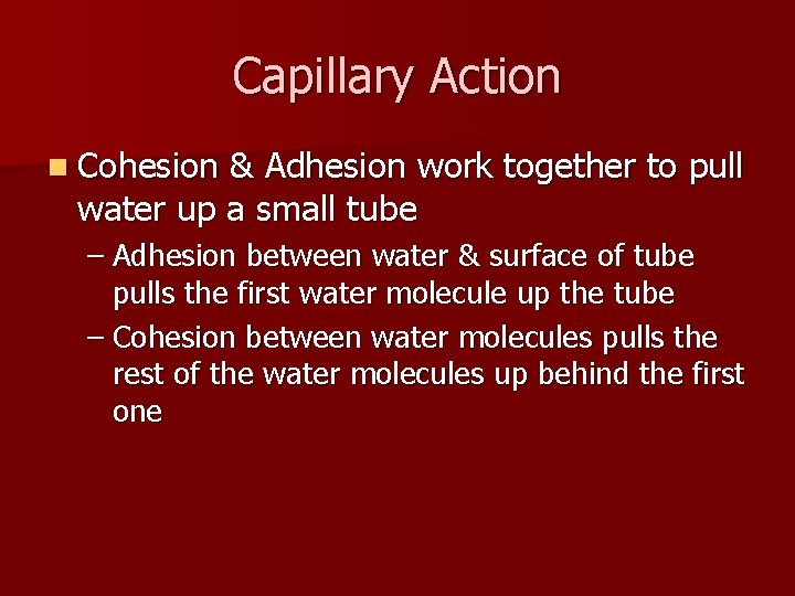 Capillary Action n Cohesion & Adhesion work together to pull water up a small