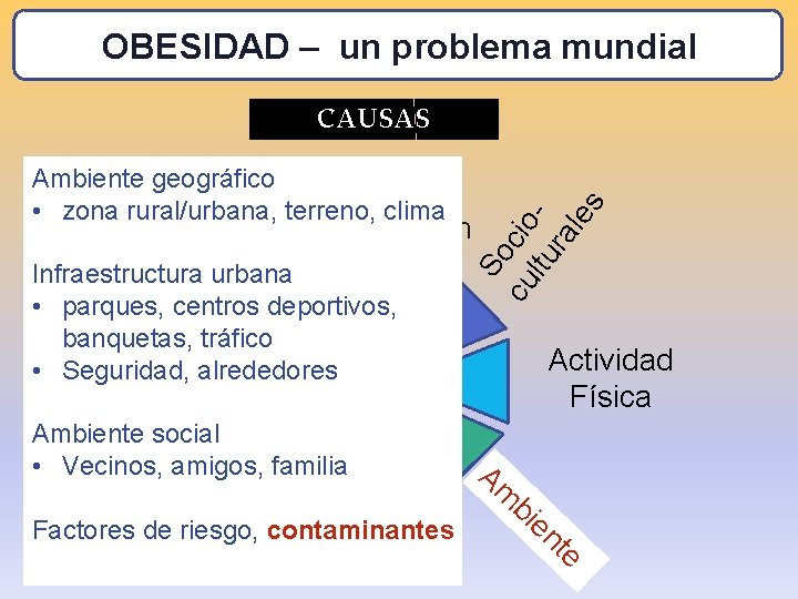 OBESIDAD – un problema mundial Ambiente geográfico • zona rural/urbana, terreno, clima To So