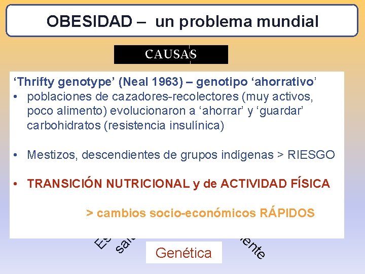 OBESIDAD – un problema mundial CAUSAS So cu cio ltu ra les ‘Thrifty genotype’